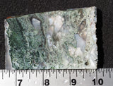Oregon Moss Agate Rock Slab 047