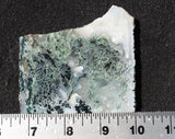 Oregon Moss Agate Rock Slab 37