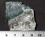 Oregon Moss Agate Rock Slab 17