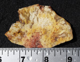 Feather Ridge Plume Agate Rock Slab 24