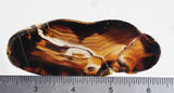 Montana Agate Rock Slab 416