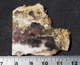 Curiosity Shop Rock Slab 430
