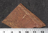 Bargain Bin B Slab 982