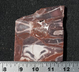 Exotica Jasper Rock slab 20