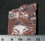 Exotica Jasper Rock slab 20