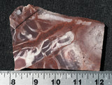 Exotica Jasper Rock slab 15
