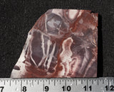 Exotica Jasper Rock slab 08