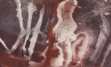 Exotica Jasper Rock slab 08