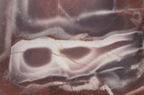 Exotica Jasper Rock slab 16