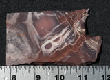 Exotica Jasper Rock slab 16