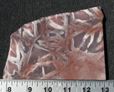 Exotica Jasper Slab 62