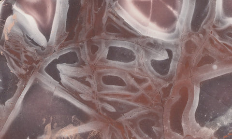 Exotica Jasper Slab 62