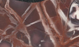 Exotica Jasper Slab 61