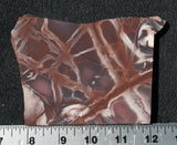 Exotica Jasper Slab 61