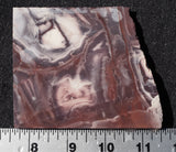 Exotica Jasper Rock slab 09