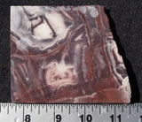Exotica Jasper Rock slab 09