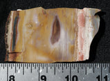 Crayola Jasper Slab 96