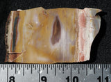 Crayola Jasper Slab 96