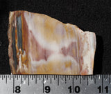 Crayola Jasper Slab 98