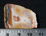 Crayola Jasper Slab 84