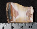 Crayola Jasper Slab 90