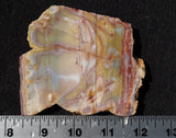 Crayola Jasper Slab 83