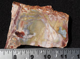 Crayola Jasper Slab 85