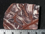 Exotica Jasper Slab 63