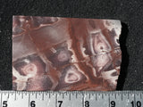 Exotica Jasper Rock slab 13