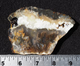 Bargain Bin C Slab 969