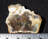 Graveyard Point Plume Agate Slab 98