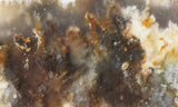 Graveyard Point Plume Agate Slab 98