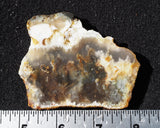 Graveyard Point Plume Agate Slab 98