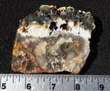 Graveyard Point Plume Agate Slab 62