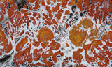 Wingate Rock Slab 344