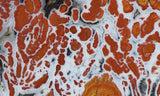 Wingate Rock Slab 344