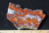 Wingate Rock Slab 346