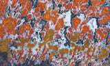 Wingate Rock Slab 348