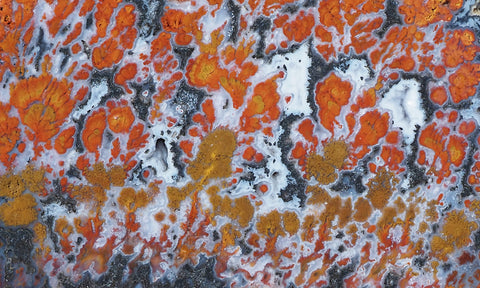 Wingate Rock Slab 348