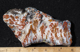 Wingate Rock Slab 347
