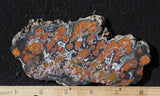 Wingate Rock Slab 382