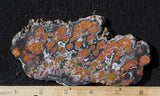 Wingate Rock Slab 382