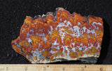 Wingate Rock Slab 345