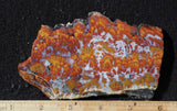 Wingate Rock Slab 345