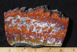 Wingate Rock Slab 359