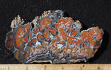 Wingate Rock Slab 360