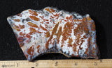 Wingate Rock Slab 383