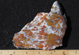 Wingate Rock Slab 374