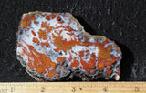 Wingate Rock Slab 356