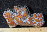 Wingate Rock Slab 355